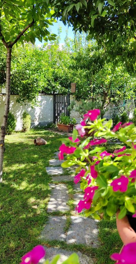 Casa Teresinella Garden Leilighet Torre Annunziata Eksteriør bilde